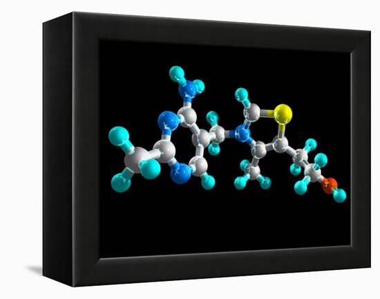 Vitamin B1, Molecular Model-Laguna Design-Framed Premier Image Canvas