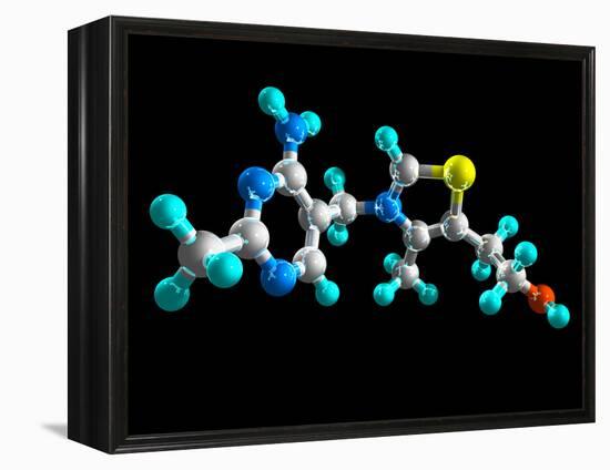 Vitamin B1, Molecular Model-Laguna Design-Framed Premier Image Canvas