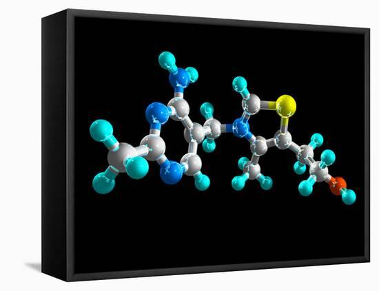 Vitamin B1, Molecular Model-Laguna Design-Framed Premier Image Canvas