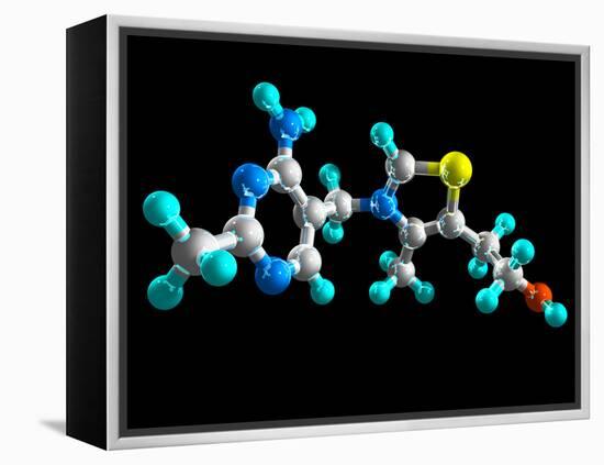 Vitamin B1, Molecular Model-Laguna Design-Framed Premier Image Canvas