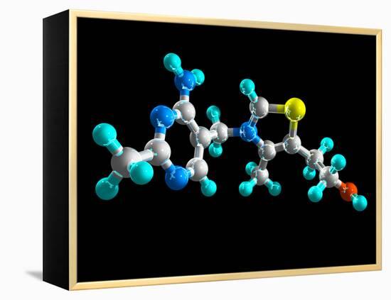 Vitamin B1, Molecular Model-Laguna Design-Framed Premier Image Canvas