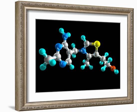 Vitamin B1, Molecular Model-Laguna Design-Framed Photographic Print