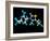 Vitamin B1, Molecular Model-Laguna Design-Framed Photographic Print