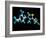 Vitamin B1, Molecular Model-Laguna Design-Framed Photographic Print