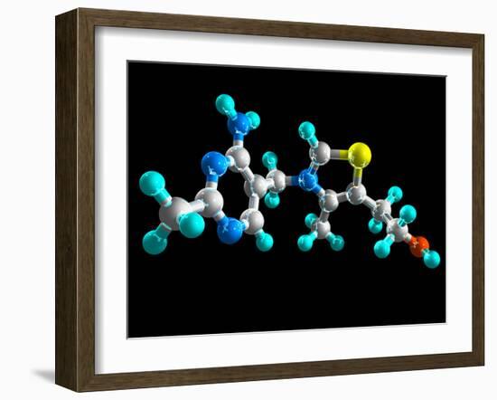 Vitamin B1, Molecular Model-Laguna Design-Framed Photographic Print