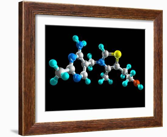 Vitamin B1, Molecular Model-Laguna Design-Framed Photographic Print