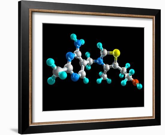 Vitamin B1, Molecular Model-Laguna Design-Framed Photographic Print