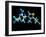 Vitamin B1, Molecular Model-Laguna Design-Framed Photographic Print