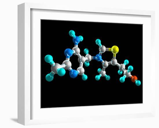 Vitamin B1, Molecular Model-Laguna Design-Framed Photographic Print