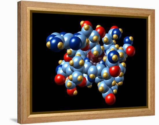 Vitamin B12 And Coenzyme Molecule-Dr. Mark J.-Framed Premier Image Canvas