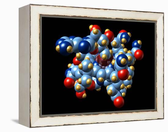 Vitamin B12 And Coenzyme Molecule-Dr. Mark J.-Framed Premier Image Canvas