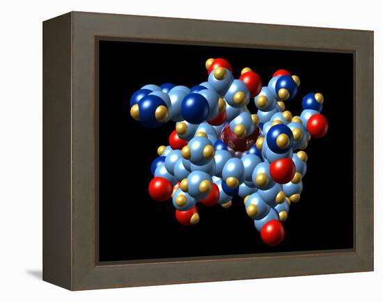 Vitamin B12 And Coenzyme Molecule-Dr. Mark J.-Framed Premier Image Canvas