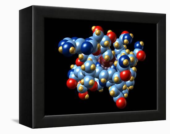 Vitamin B12 And Coenzyme Molecule-Dr. Mark J.-Framed Premier Image Canvas