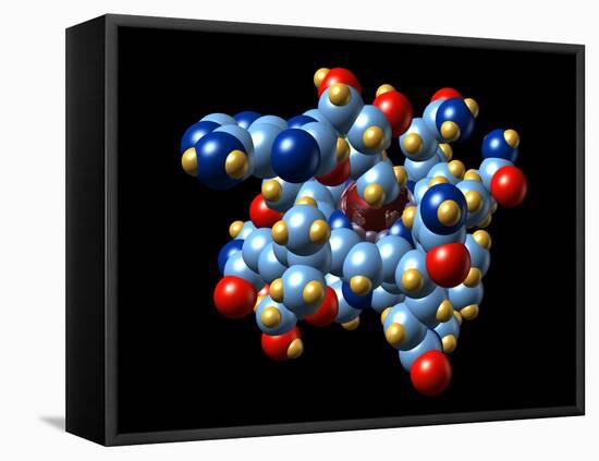 Vitamin B12 And Coenzyme Molecule-Dr. Mark J.-Framed Premier Image Canvas