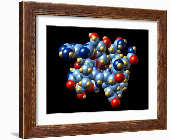 Vitamin B12 And Coenzyme Molecule-Dr. Mark J.-Framed Photographic Print