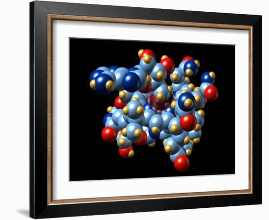Vitamin B12 And Coenzyme Molecule-Dr. Mark J.-Framed Photographic Print