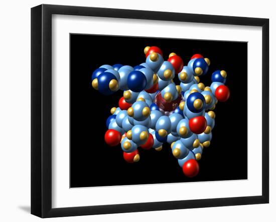 Vitamin B12 And Coenzyme Molecule-Dr. Mark J.-Framed Photographic Print