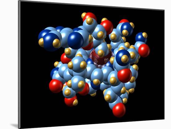 Vitamin B12 And Coenzyme Molecule-Dr. Mark J.-Mounted Photographic Print