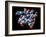 Vitamin B12 And Coenzyme Molecule-Dr. Mark J.-Framed Photographic Print