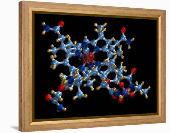 Vitamin B12 (cyanocobalamin) Molecule-Dr. Mark J.-Framed Premier Image Canvas