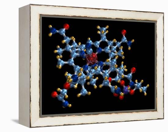 Vitamin B12 (cyanocobalamin) Molecule-Dr. Mark J.-Framed Premier Image Canvas