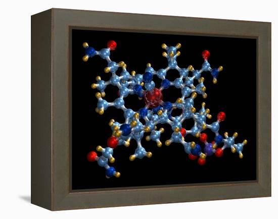 Vitamin B12 (cyanocobalamin) Molecule-Dr. Mark J.-Framed Premier Image Canvas