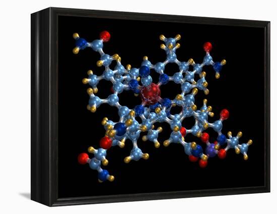 Vitamin B12 (cyanocobalamin) Molecule-Dr. Mark J.-Framed Premier Image Canvas