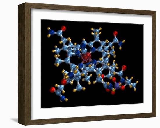 Vitamin B12 (cyanocobalamin) Molecule-Dr. Mark J.-Framed Photographic Print