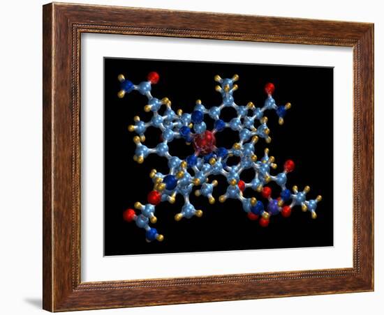 Vitamin B12 (cyanocobalamin) Molecule-Dr. Mark J.-Framed Photographic Print