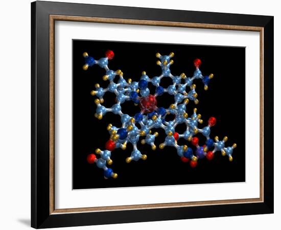 Vitamin B12 (cyanocobalamin) Molecule-Dr. Mark J.-Framed Photographic Print