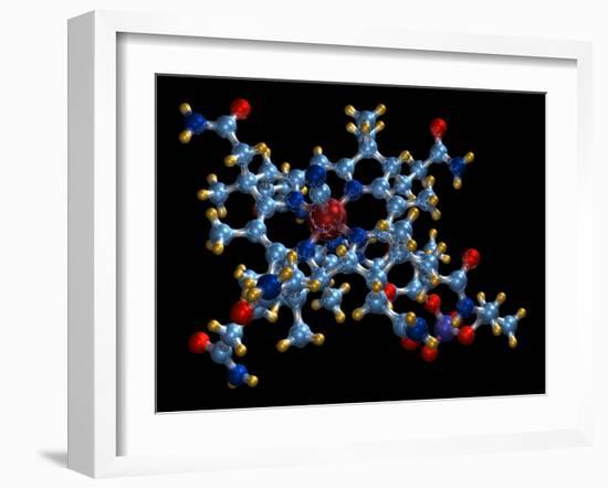 Vitamin B12 (cyanocobalamin) Molecule-Dr. Mark J.-Framed Photographic Print