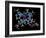 Vitamin B12 (cyanocobalamin) Molecule-Dr. Mark J.-Framed Photographic Print