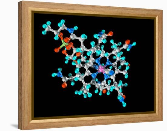 Vitamin B12, Molecular Model-Laguna Design-Framed Premier Image Canvas