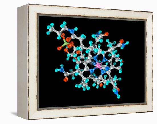 Vitamin B12, Molecular Model-Laguna Design-Framed Premier Image Canvas