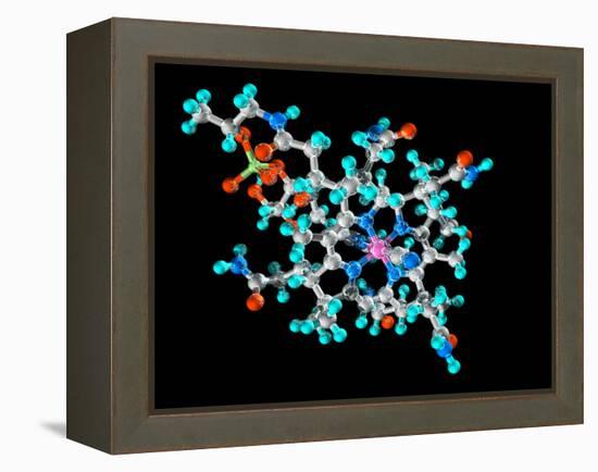 Vitamin B12, Molecular Model-Laguna Design-Framed Premier Image Canvas