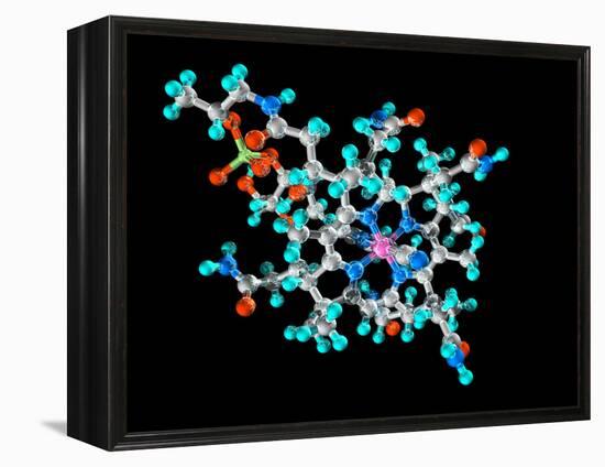 Vitamin B12, Molecular Model-Laguna Design-Framed Premier Image Canvas