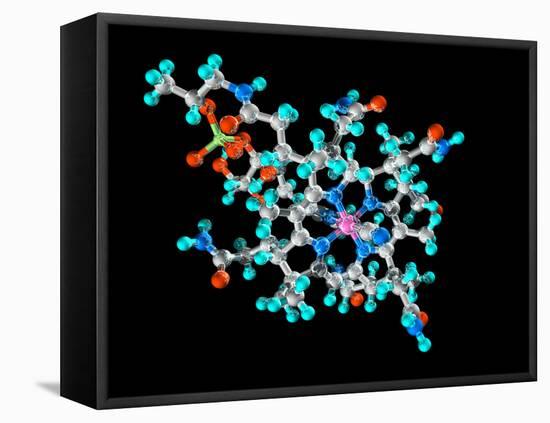 Vitamin B12, Molecular Model-Laguna Design-Framed Premier Image Canvas