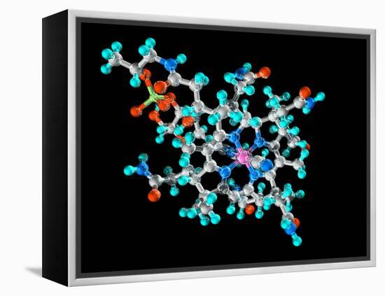 Vitamin B12, Molecular Model-Laguna Design-Framed Premier Image Canvas