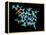 Vitamin B12, Molecular Model-Laguna Design-Framed Premier Image Canvas