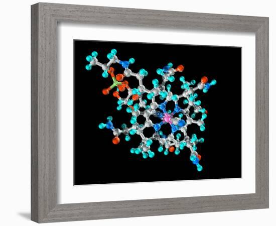 Vitamin B12, Molecular Model-Laguna Design-Framed Photographic Print