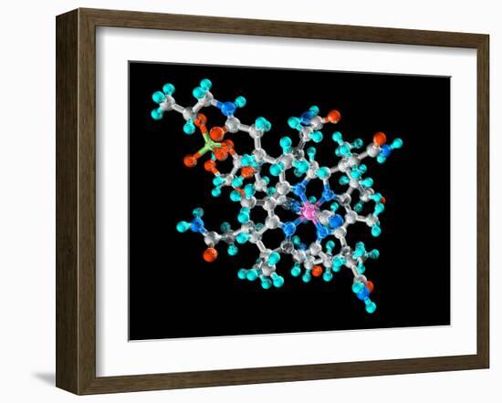 Vitamin B12, Molecular Model-Laguna Design-Framed Photographic Print