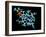 Vitamin B12, Molecular Model-Laguna Design-Framed Photographic Print