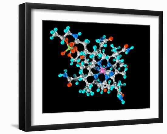 Vitamin B12, Molecular Model-Laguna Design-Framed Photographic Print