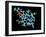 Vitamin B12, Molecular Model-Laguna Design-Framed Photographic Print