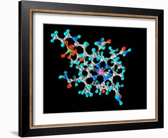 Vitamin B12, Molecular Model-Laguna Design-Framed Photographic Print