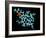 Vitamin B12, Molecular Model-Laguna Design-Framed Photographic Print