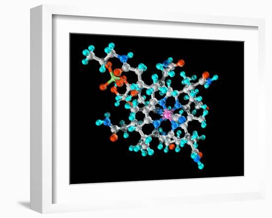Vitamin B12, Molecular Model-Laguna Design-Framed Photographic Print