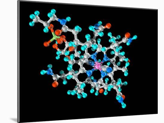 Vitamin B12, Molecular Model-Laguna Design-Mounted Photographic Print