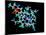 Vitamin B12, Molecular Model-Laguna Design-Mounted Photographic Print