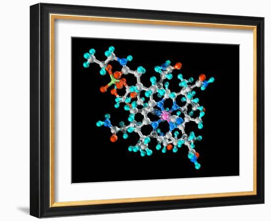 Vitamin B12, Molecular Model-Laguna Design-Framed Photographic Print